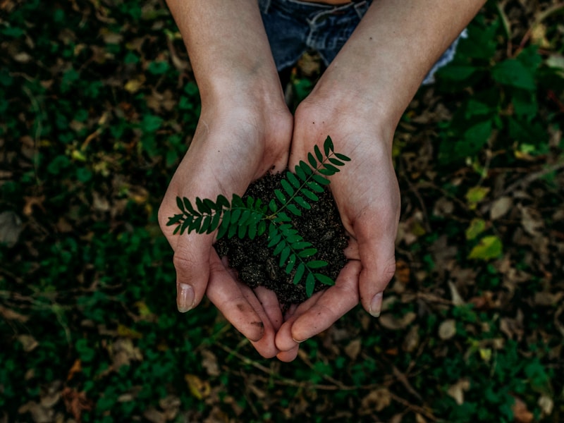 totaal geplante bomen